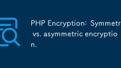 Encryption PHP: cryptage symétrique vs asymétrique.