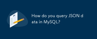 MySQL에서 JSON 데이터를 어떻게 쿼리합니까?
