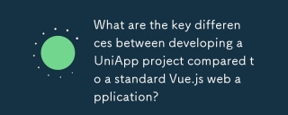 與標準vue.js Web應用程序相比,開發Uniapp項目的主要區別是什麼?
