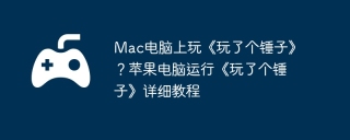 Mac电脑上玩《玩了个锤子》？苹果电脑运行《玩了个锤子》详细教程