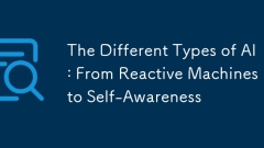 The Different Types of AI: From Reactive Machines to Self-Awareness
