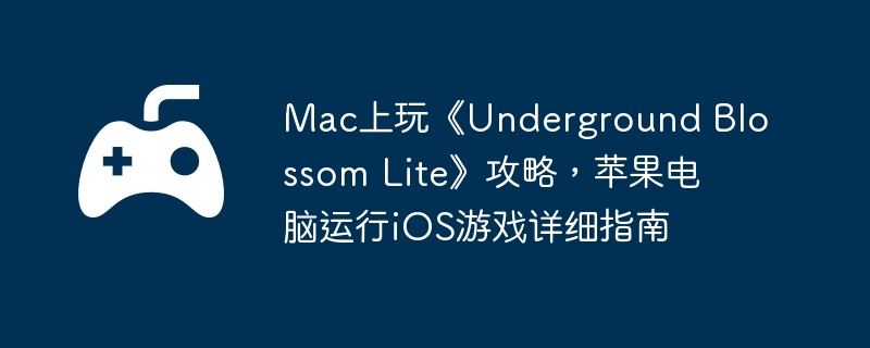 Mac上玩《Underground Blossom Lite》攻略，苹果电脑运行iOS游戏详细指南