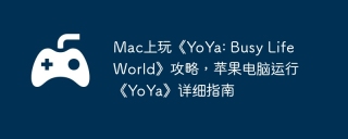 Mac上玩《YoYa: Busy Life World》攻略，苹果电脑运行《YoYa》详细指南