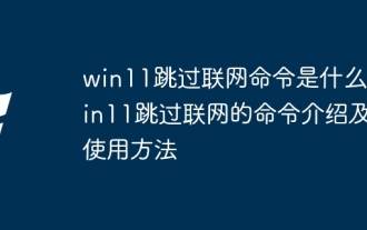 What is the command to skip networking in win11? Introduction to the command to skip networking in win11 and how to use it