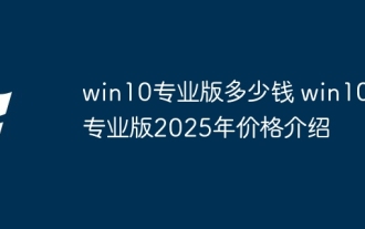 Win10 ProfessionalバージョンコストWin10 Professionalバージョン2025価格紹介はいくらですか