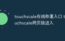touchscale在线称重入口 touchscale网页版进入