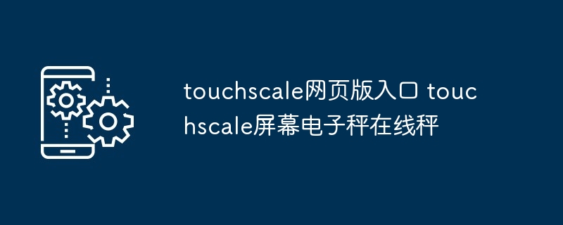 touchscale网页版入口 touchscale屏幕电子秤在线秤