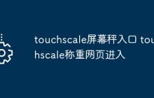 touchscale屏幕秤入口 touchscale称重网页进入