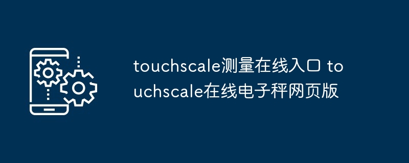 touchscale测量在线入口 touchscale在线电子秤网页版