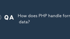 Wie handelt es sich bei PHP um Formulardaten?