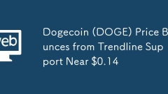 Dogecoin (DOGE) PREIS FÜR DER Trendlinienunterstützung nahe 0,14 USD