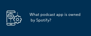 Spotify拥有哪个播客应用程序?