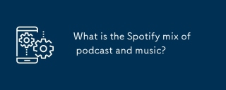 What is the Spotify mix of podcast and music?