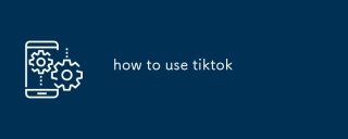 Tiktokの使用方法