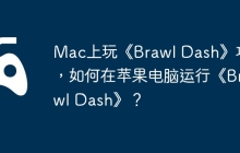 Mac上玩《Brawl Dash》攻略，如何在苹果电脑运行《Brawl Dash》？