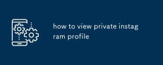 how to view private instagram profile