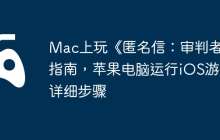 Mac上玩《匿名信：审判者》指南，苹果电脑运行iOS游戏详细步骤
