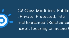 C# Class Modifiers: Public, Private, Protected, Internal Explained (Related concept, focusing on access)