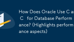 How Does Oracle Use C and C for Database Performance? (Highlights performance aspects)