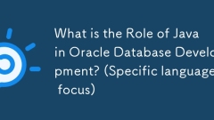 What is the Role of Java in Oracle Database Development? (Specific language focus)