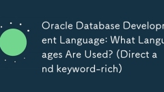 Oracle Database Development Language: What Languages Are Used? (Direct and keyword-rich)