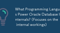 What Programming Languages Power Oracle Database Internals? (Focuses on the internal workings)