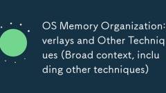 OS -Speicherorganisation: Überlagerungen und andere Techniken (breiter Kontext, einschließlich anderer Techniken)