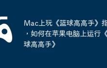 Mac上玩《篮球高高手》指南，如何在苹果电脑上运行《篮球高高手》