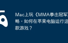 Mac上玩《MMA拳击冠军》攻略，如何在苹果电脑运行这款游戏？