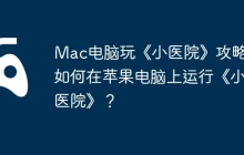 Mac电脑玩《小医院》攻略，如何在苹果电脑上运行《小医院》？