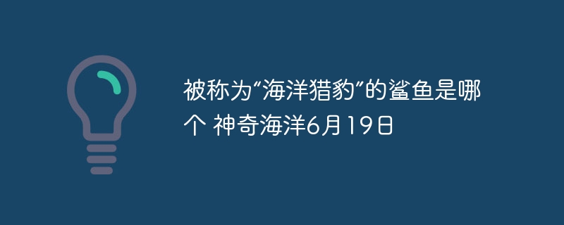 被称为“海洋猎豹”的鲨鱼是哪个 神奇海洋6月19日 - php中文网