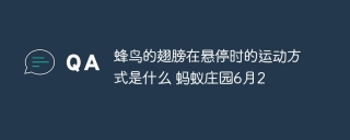 蜂鸟的翅膀在悬停时的运动方式是什么 蚂蚁庄园6月20