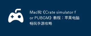Mac玩‎《Crate simulator for PUBGM》教程：苹果电脑畅玩手游攻略
