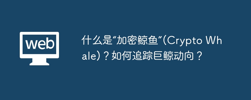 什么是“加密鲸鱼”(Crypto Whale)?如何追踪巨鲸动向?
