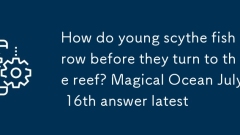 How do young scythe fish grow before they turn to the reef? Magical Ocean July 16th answer latest