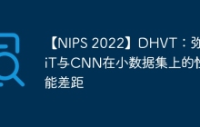 【NIPS 2022】DHVT：弥补ViT与CNN在小数据集上的性能差距