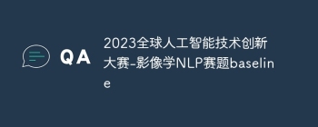 2023全球人工智能技术创新大赛-影像学NLP赛题baseline