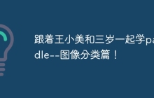 跟着王小美和三岁一起学paddle--图像分类篇！