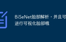 BiSeNet脸部解析，并且可以进行可视化脸部哦