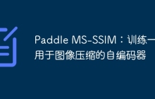 Paddle MS-SSIM：训练一个用于图像压缩的自编码器