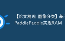 【论文复现-图像分类】基于PaddlePaddle实现RAM