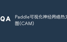Paddle可视化神经网络热力图(CAM)