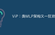 ViP：类MLP架构又一狂欢