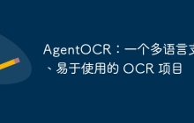 AgentOCR：一个多语言支持、易于使用的 OCR 项目