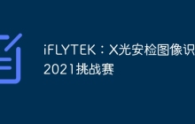 iFLYTEK：X光安检图像识别2021挑战赛