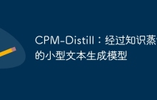 CPM-Distill：经过知识蒸馏的小型文本生成模型