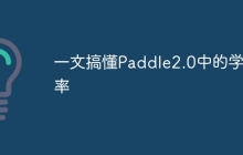 一文搞懂Paddle2.0中的学习率