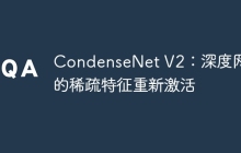 CondenseNet V2：深度网络的稀疏特征重新激活