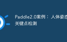 Paddle2.0案例： 人体姿态关键点检测