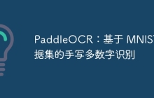 PaddleOCR:基于 MNIST 数据集的手写多数字识别
